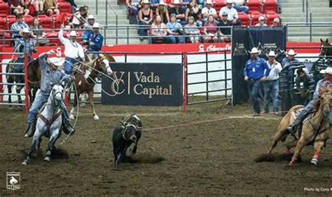 Calgary Trampede